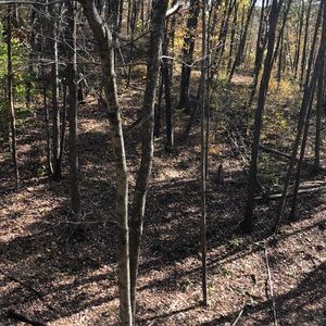 Meet your Posher, Tim